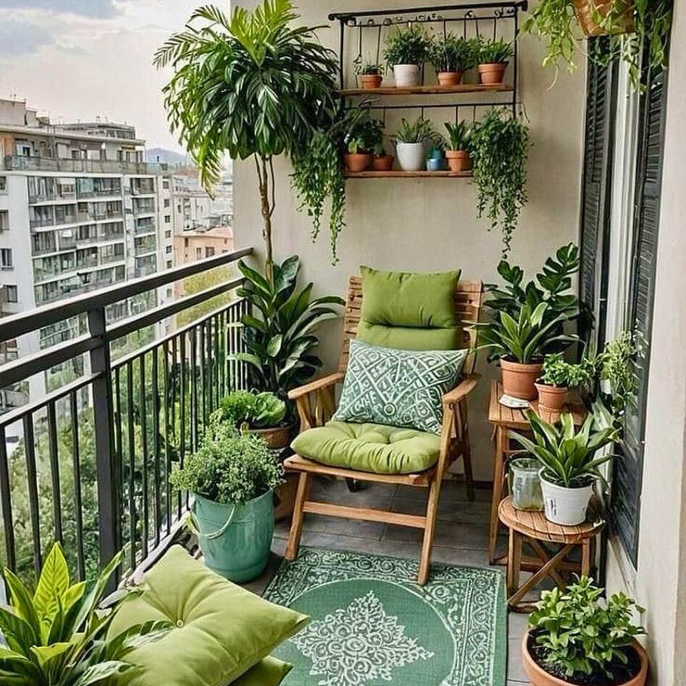 A balcony filled with greens Houseplants care