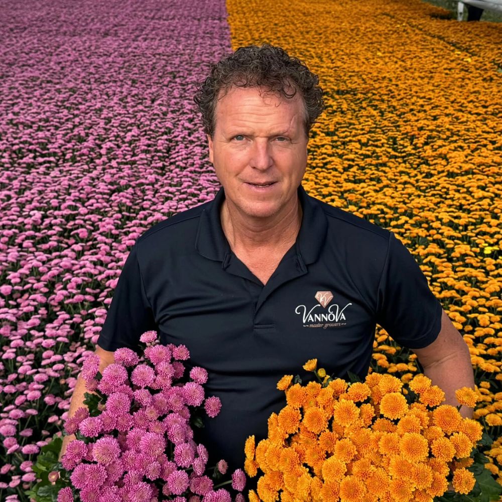 Chrysanthemum Ellison Pink and Orange from Floritec Chrysanthemum flower meaning
