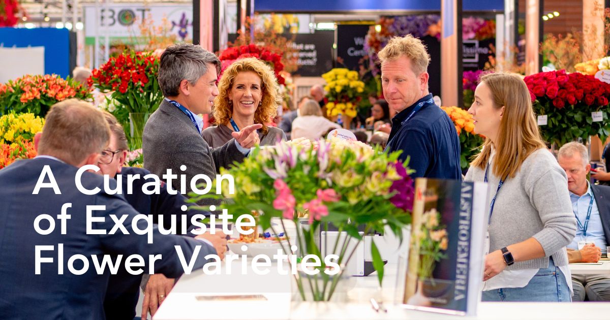 Breeders United Selections, Könst Alstroemeria, and Icon Selections partner to bring you the most diverse floral showcase at the IFTF 2025.