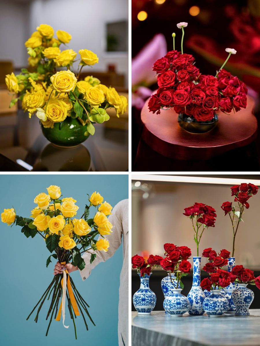 United Selections varieties Breeders United Selections, Könst Alstroemeria, and Icon Selections partner to bring you the most diverse floral showcase at the IFTF 2025.