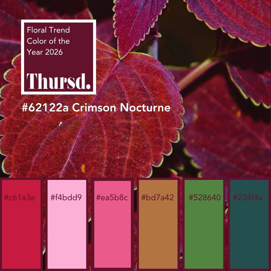 Dark Crimson leaves color palette