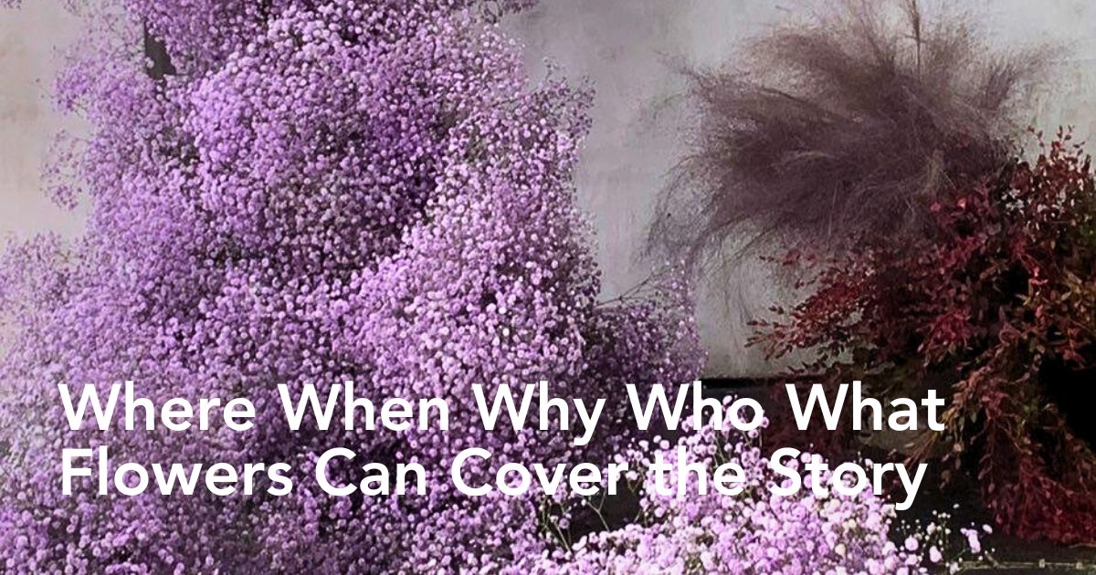 Colored Gypsophila brings the right message. Flowers Speak Louder Than Words Header.