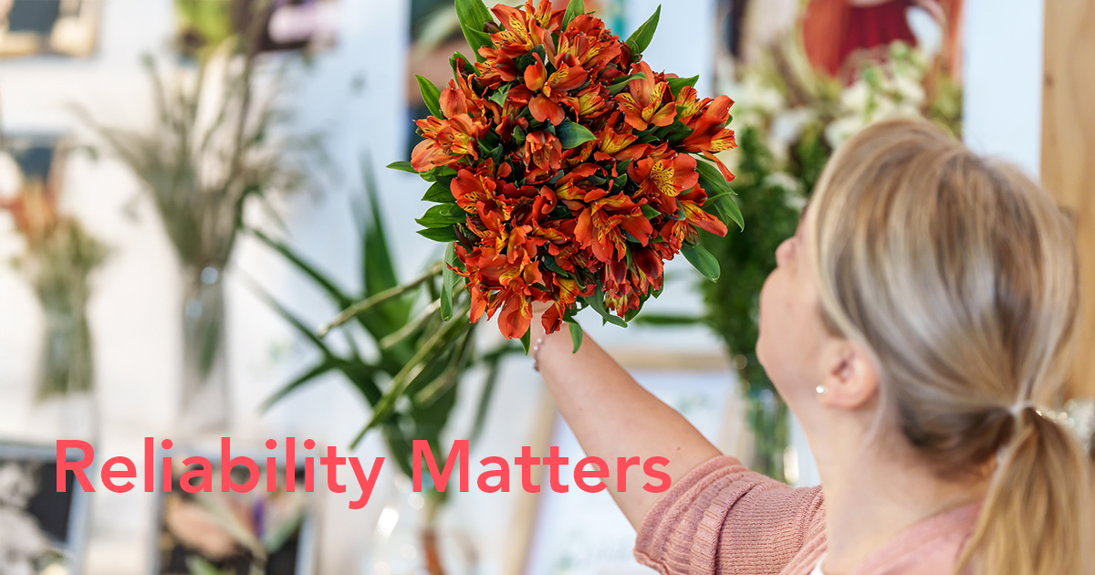 Tesselaar Alstroemeria wholesalers interview