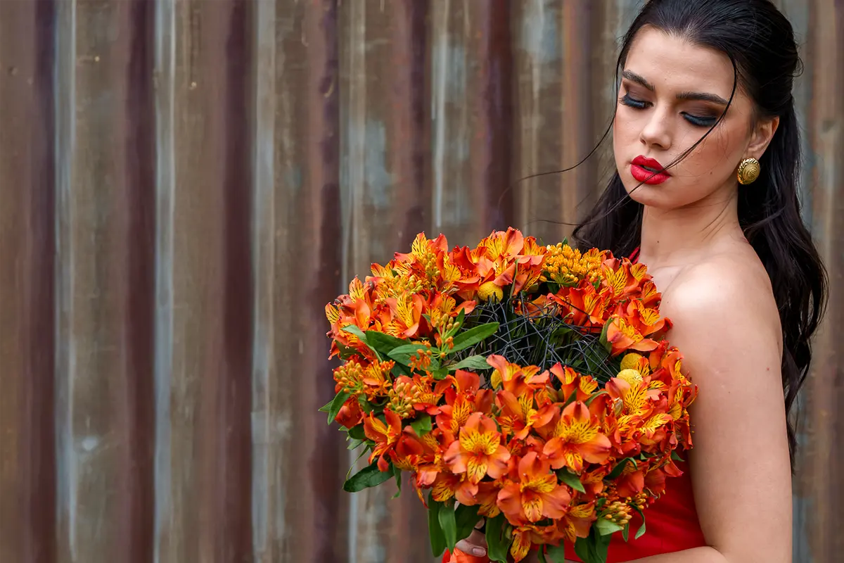 Tesselaar Alstroemeria wholesalers interview