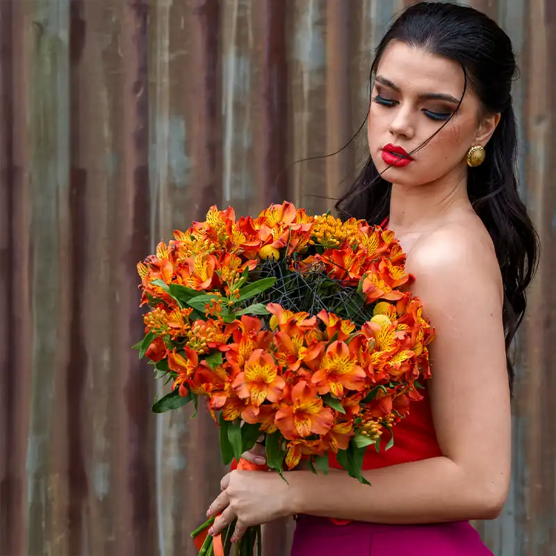 Tesselaar Alstroemeria wholesalers interview