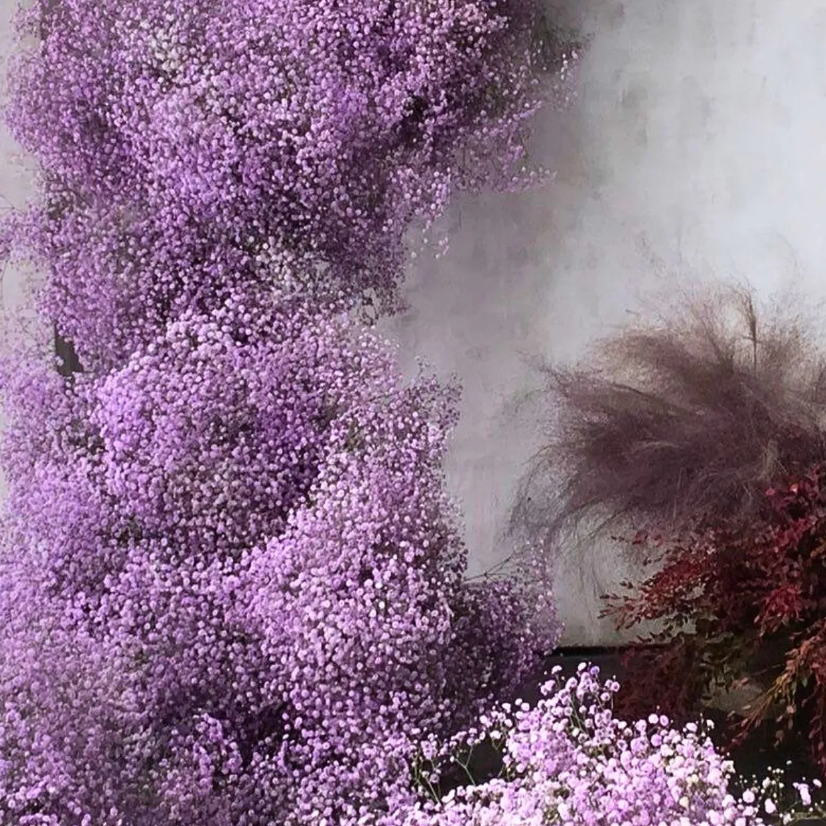 Danziger Flowers Speak Louder Than Words