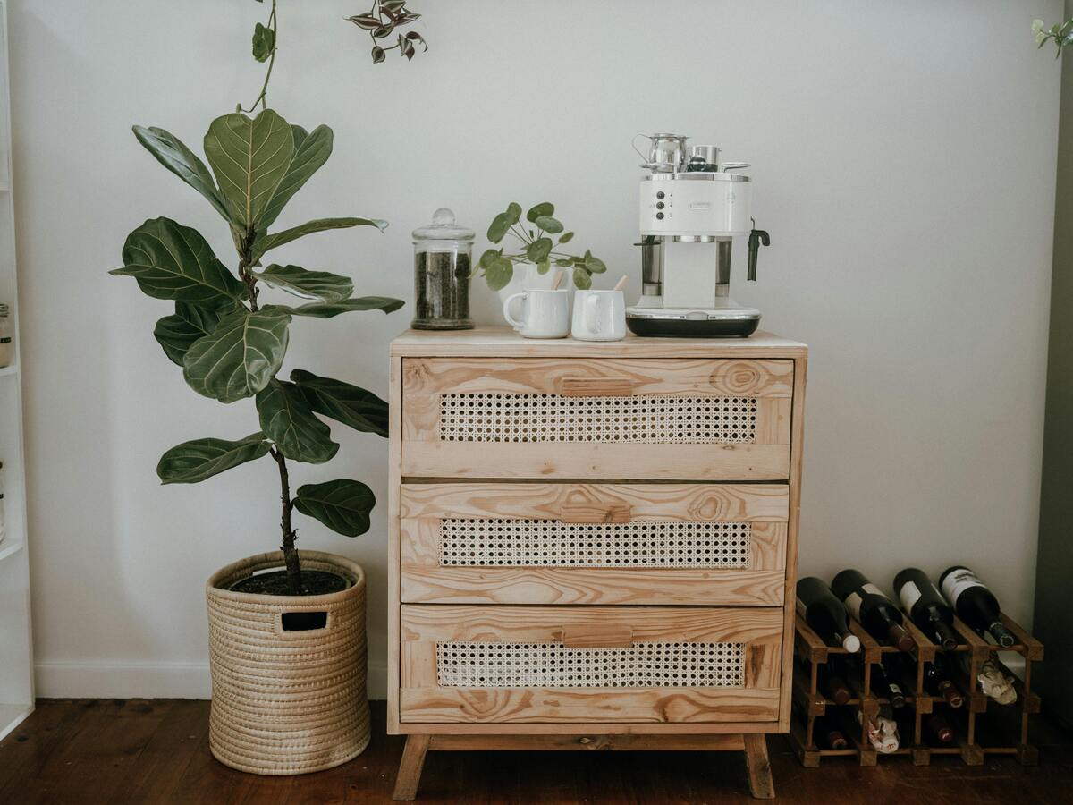 Wine rack next to plant and cabinet Wine rack next to plant and cabinet