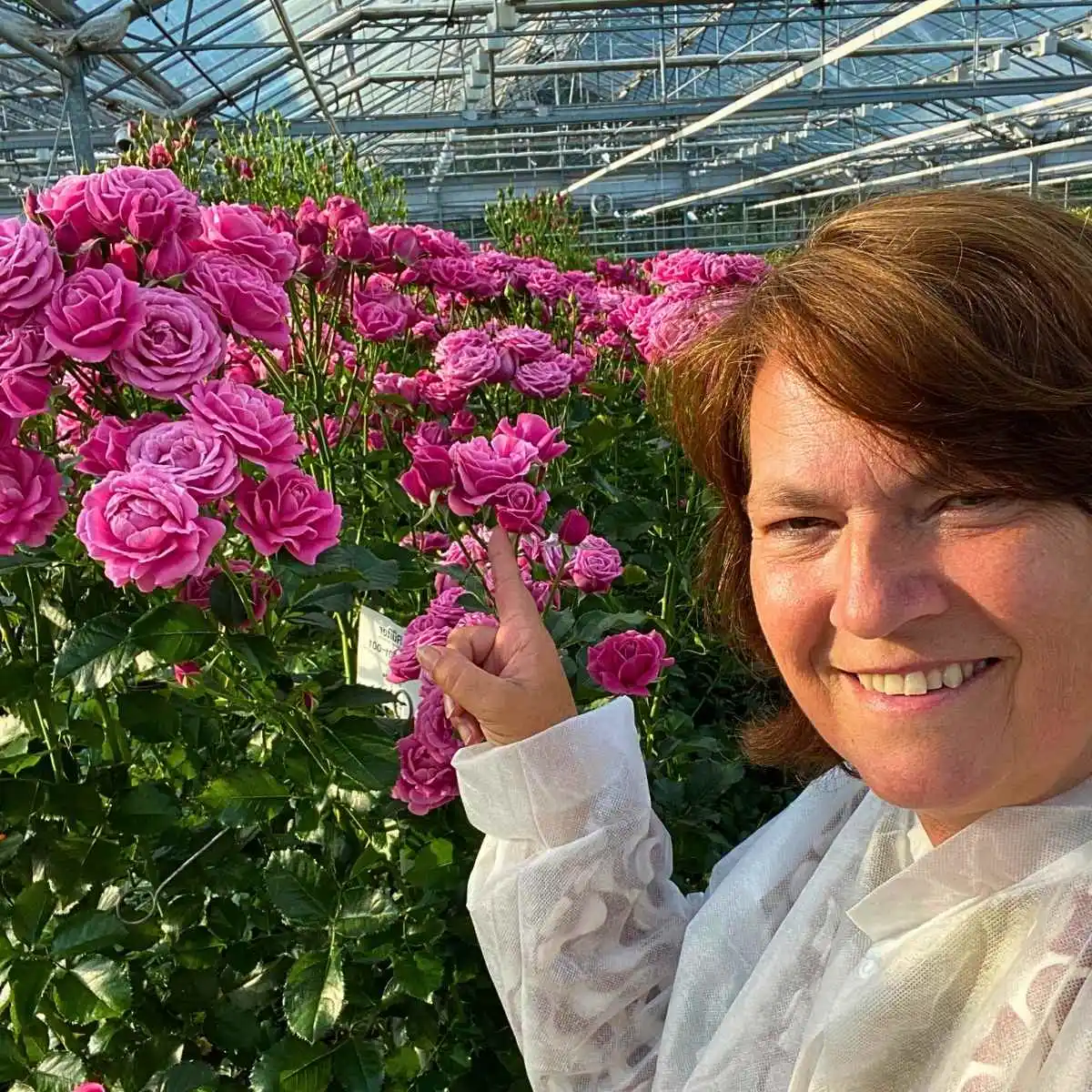 Travel-Blog-De-Ruiter-Roses-When-You-Visit-The-Netherlands