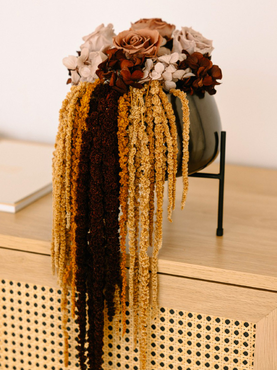 Verdissimo preserved flowers introduction amaranthus Verdissimo preserved flowers introduction amaranthus