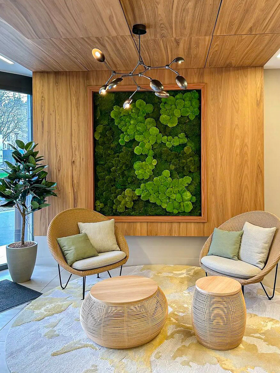 Verdissimo preserved flowers introduction moss design Verdissimo preserved flowers introduction moss design