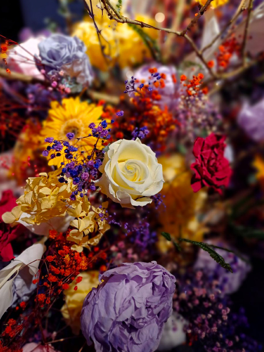 Verdissimo preserved flowers introduction mixed flowers Verdissimo preserved flowers introduction mixed flowers
