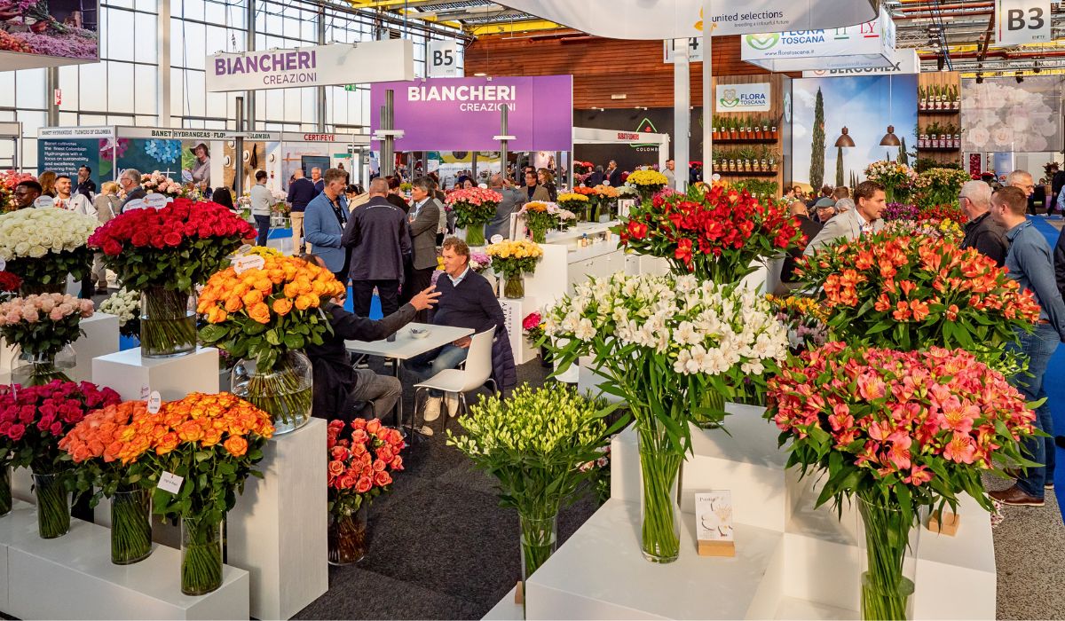 United Selections, Könst Alstroemeria, and Icon Selections Breeders United Selections, Könst Alstroemeria, and Icon Selections partner to bring you the most diverse floral showcase at the IFTF 2025.