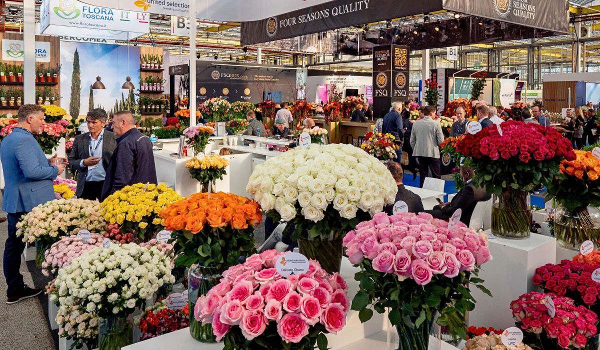 United Selections booth at a past IFTF Breeders United Selections, Könst Alstroemeria, and Icon Selections partner to bring you the most diverse floral showcase at the IFTF 2025.