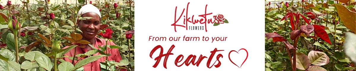 Banner KikwetuFlowers Banner KikwetuFlowers