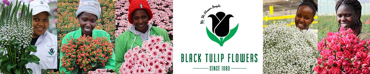 Banner BlackTulipGroup Desktop Banner BlackTulipGroup Desktop