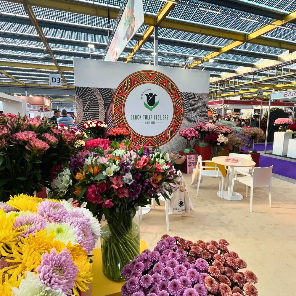 Black Tulip Group booth during IFTF 2024 Black Tulip Group