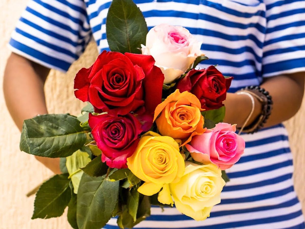 Premium roses from Kikwetu Flowers Kikwetu Flowers