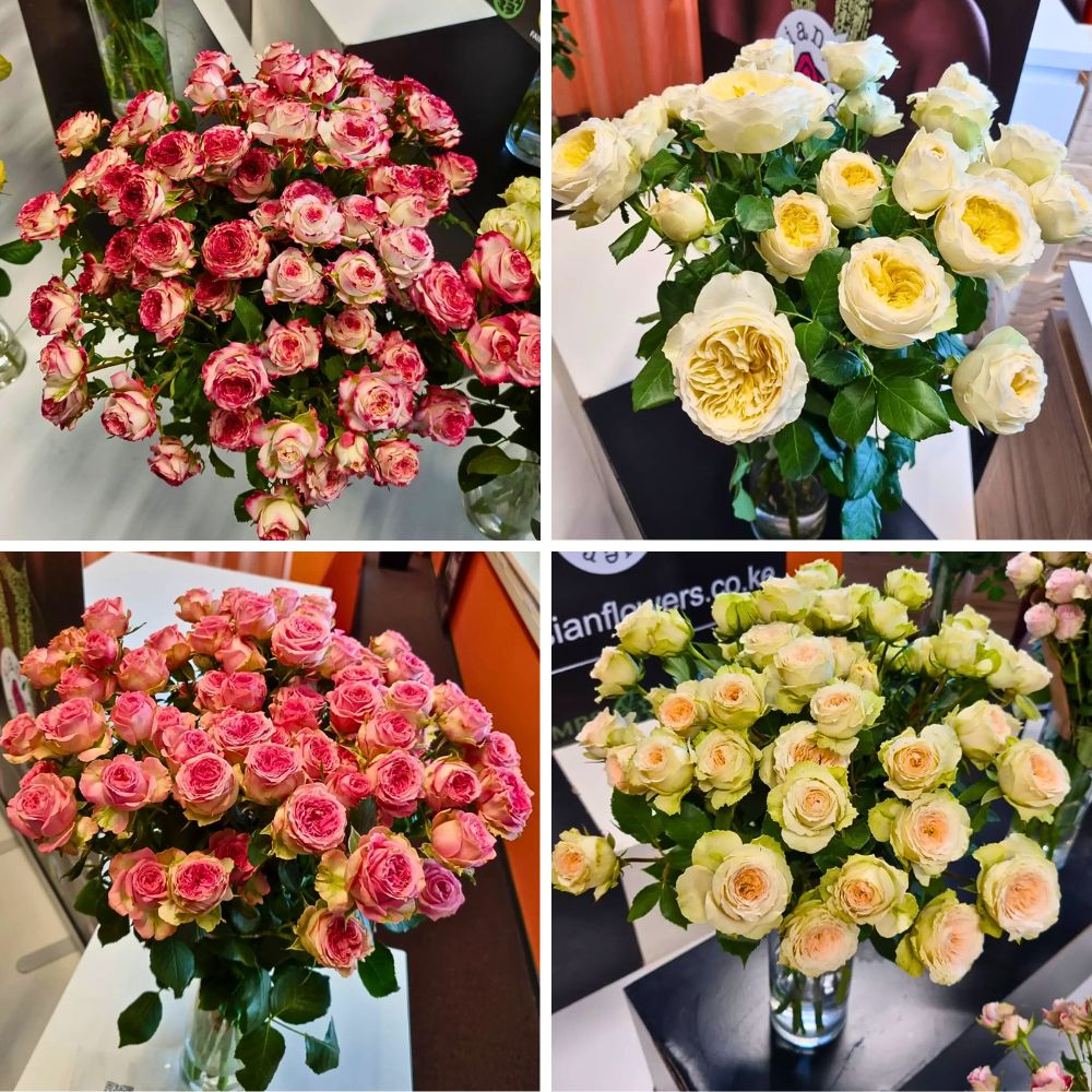 Sian's varieties Sian Showcases Its Quality Varieties and Floral Expertise at the 2025 IFTF