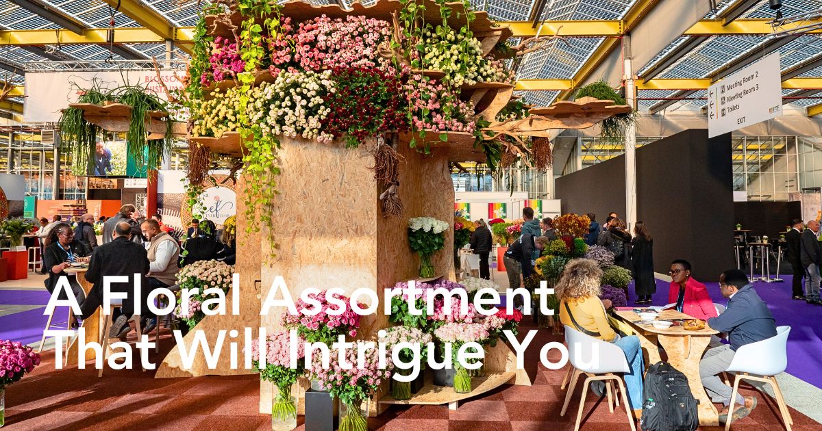 Sian Showcases Its Quality Varieties and Floral Expertise at the 2025 IFTF