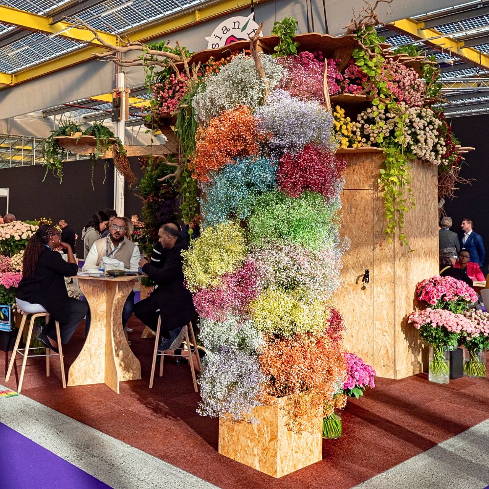 Sian Flowers Sian Showcases Its Quality Varieties and Floral Expertise at the 2025 IFTF