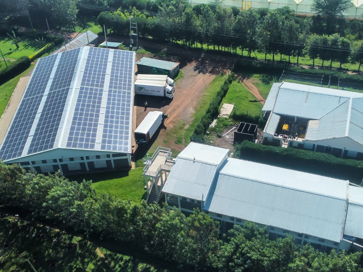 Solar system at Flora Ola Ltd Flora Ola Ltd