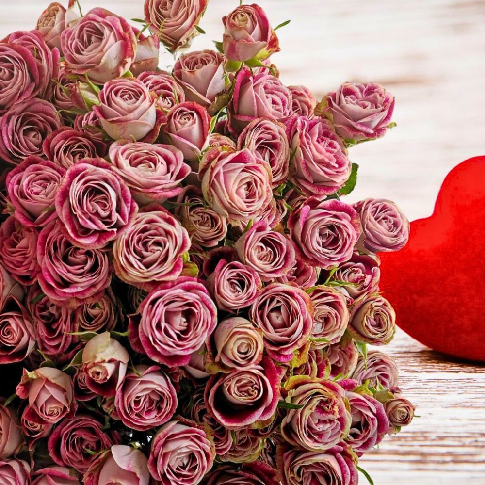 Spray Rose Impressionist Sian Showcases Its Quality Varieties and Floral Expertise at the 2025 IFTF