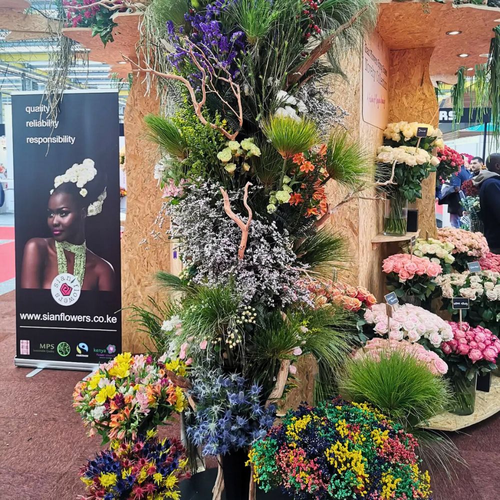 Sian Flowers booth at the IFTF Sian Showcases Its Quality Varieties and Floral Expertise at the 2025 IFTF