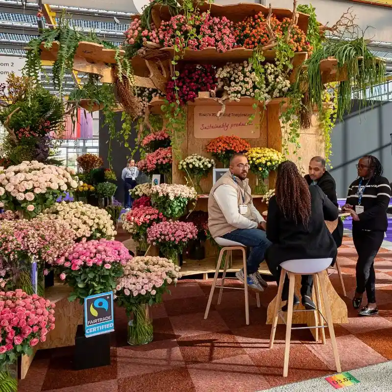 Grower Sian Flowers at the IFTF square Feature Image