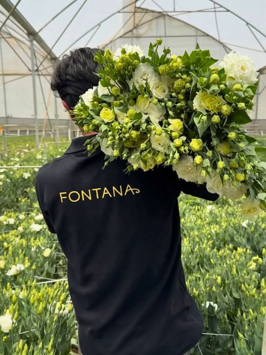 Lisianthus Fontana Brings Premium Flowers and Kenyan Floriculture Mastery to IFTF 2025