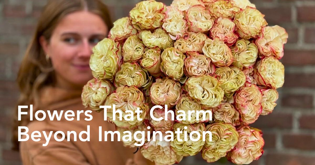 Fontana Brings Premium Flowers and Kenyan Floriculture Mastery to IFTF 2025