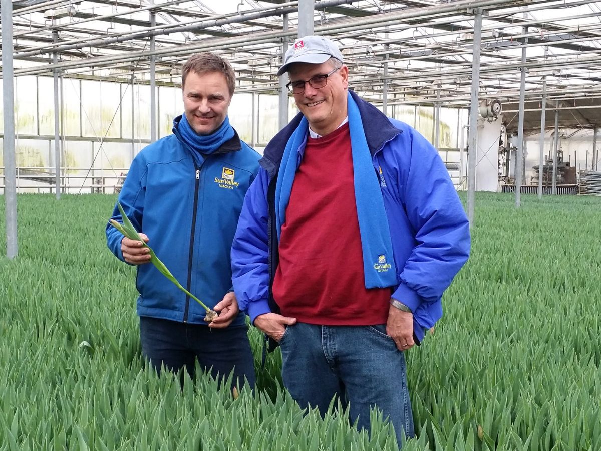 Lane DeVries and his team member inside a greenhouse full of tulips 10 Questions to Lane DeVries
