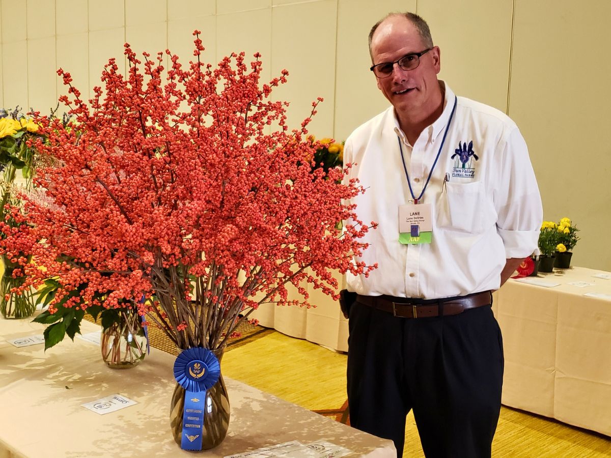 Apart from tulips Lane DeVries also loves Ilex 10 Questions to Lane DeVries