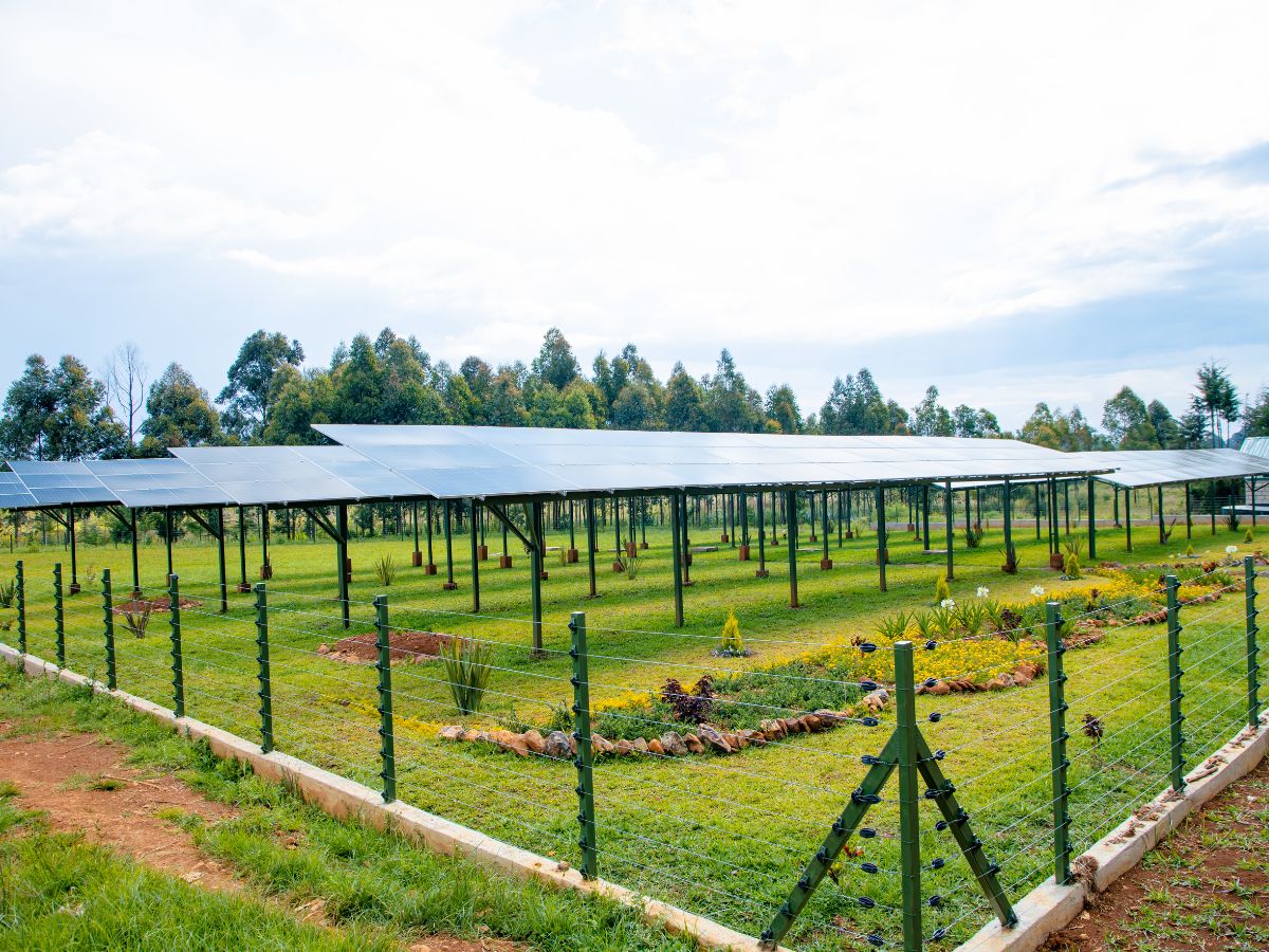 Solar Panels installed at Mona Flowers Mona Flowers