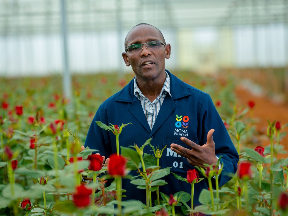 Charles Mulemba the Farm manager at Mona Flowers Mona Flowers