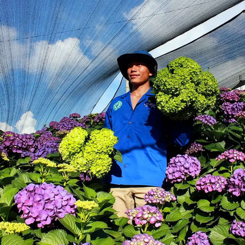 On the Road With the Import Promotion Desk