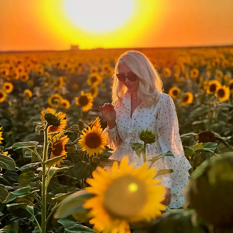 Sunflower meaning and symbolism