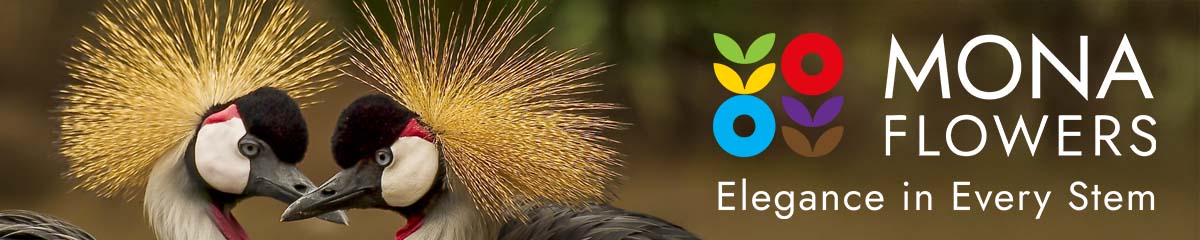 Banner MonaFlowers Desktop Banner MonaFlowers Desktop