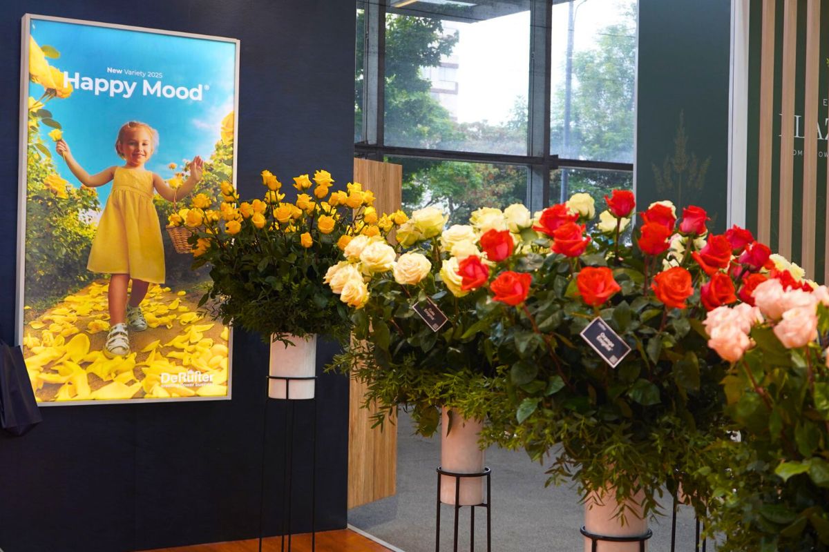 Happy Mood at De Ruiter Proflora