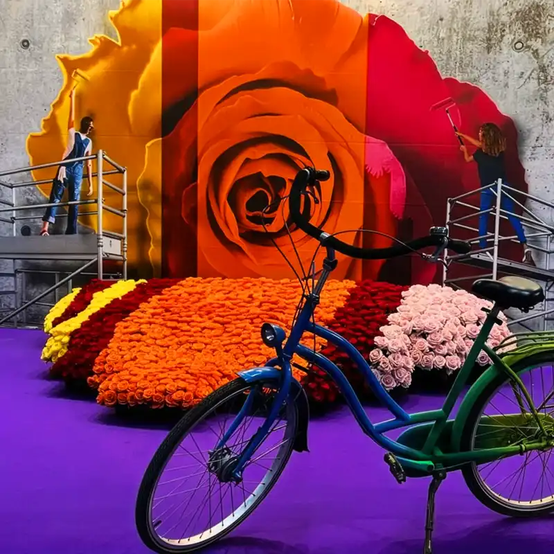 De Ruiter IFTF 2025 preview square feature