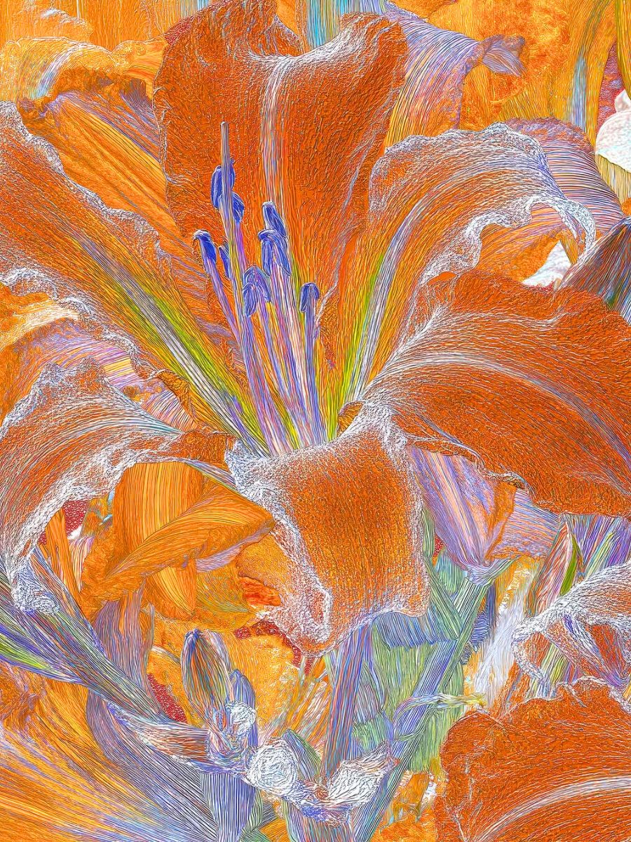 An orange lily made with Color Code AI