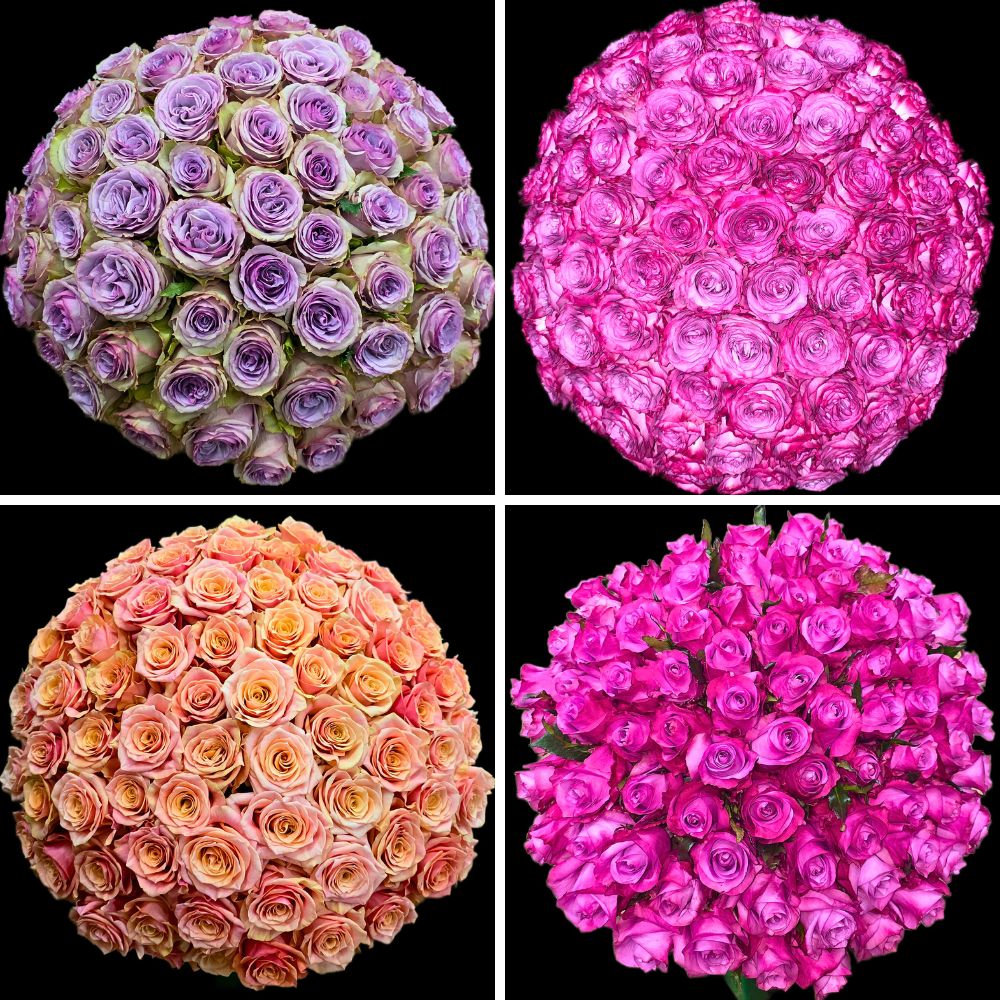 Fontana Brings a Whole Range of Their Premium Flowers to IFTF 2025