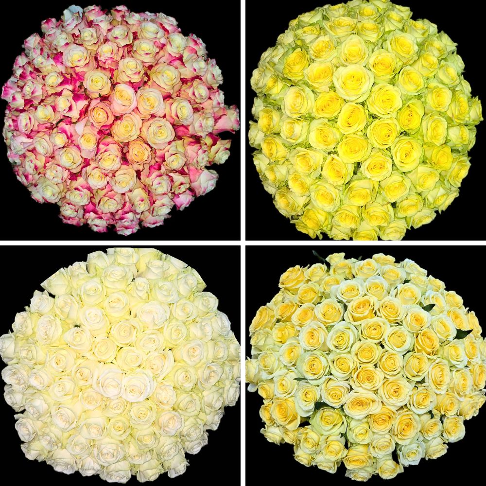 Fontana Brings a Whole Range of Their Premium Flowers to IFTF 2025