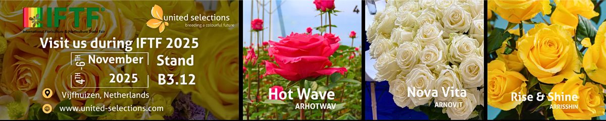 United Selections at the IFTF 2025 Breeders United Selections, Könst Alstroemeria, and Icon Selections at the IFTF 2025