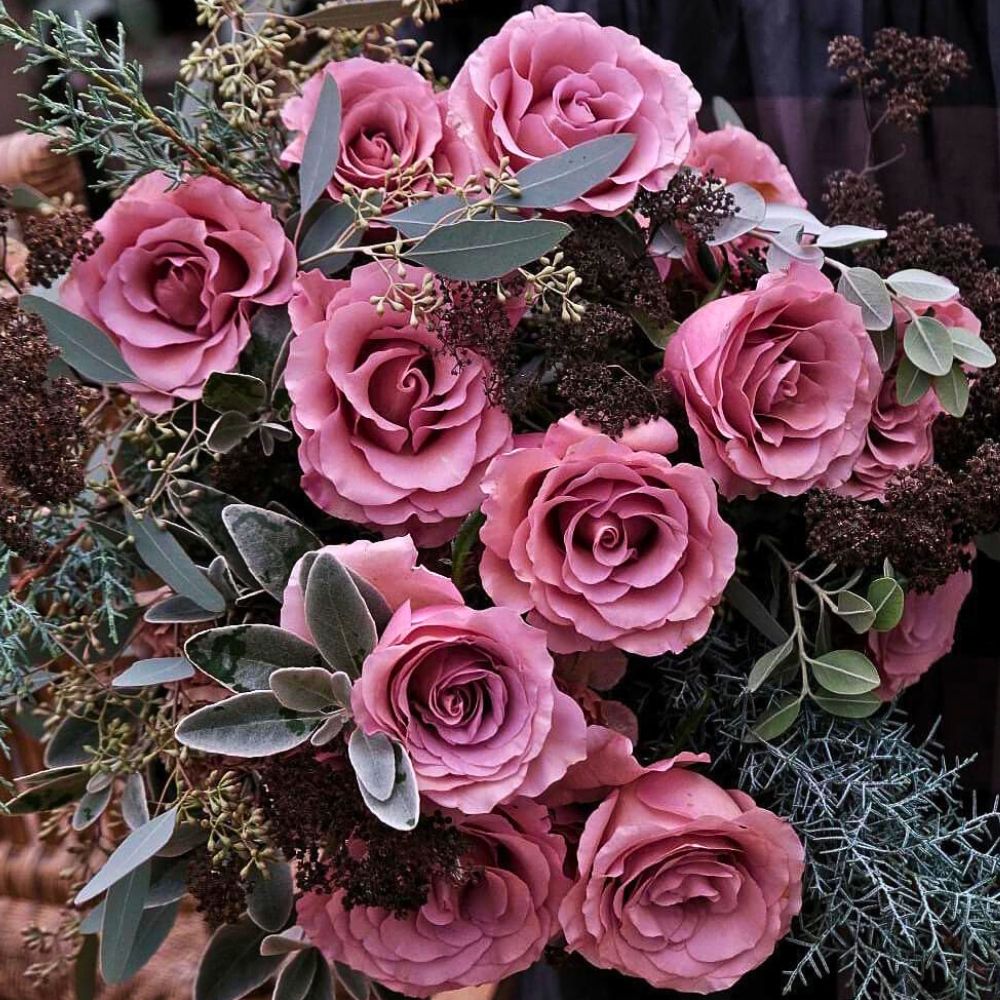 the Irresistible Rose Moccachino