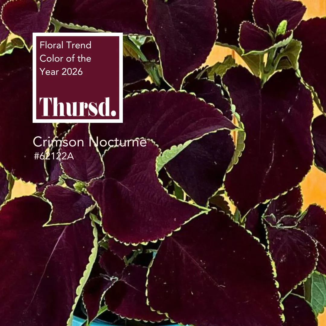 Thursd-Floral-Trend-Color-and-Palette-2026-_3_