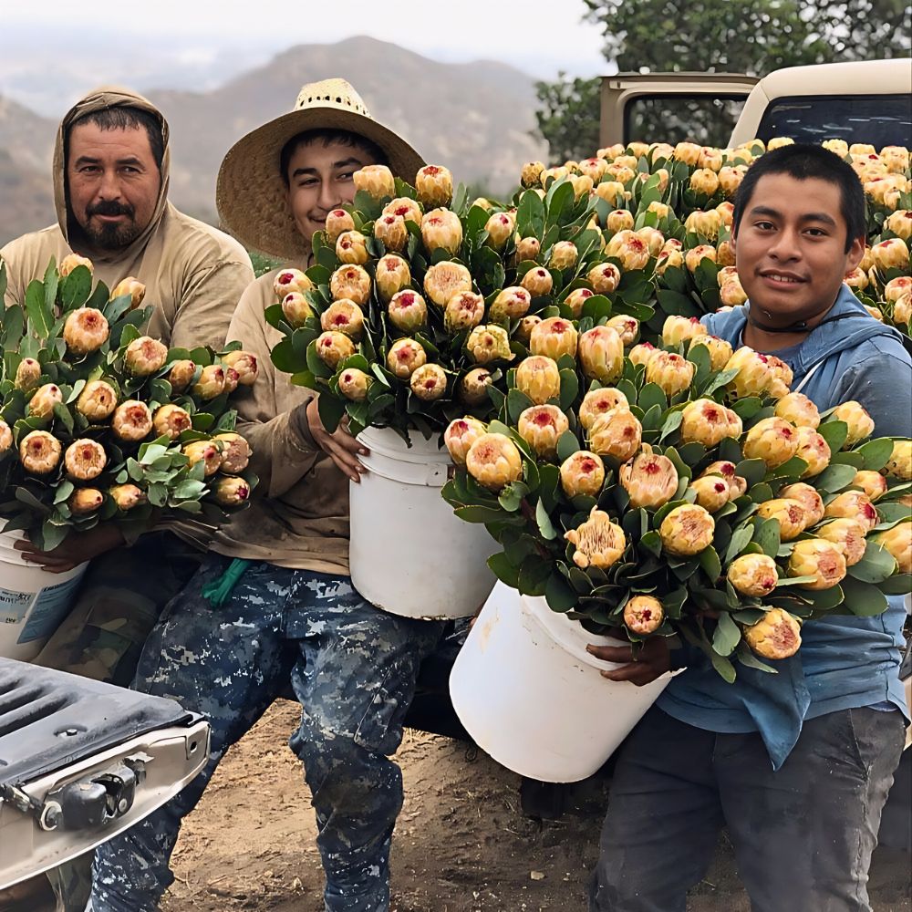 Why Smart Inventory Management Is the Simple Secret for Sustainable Floriculture