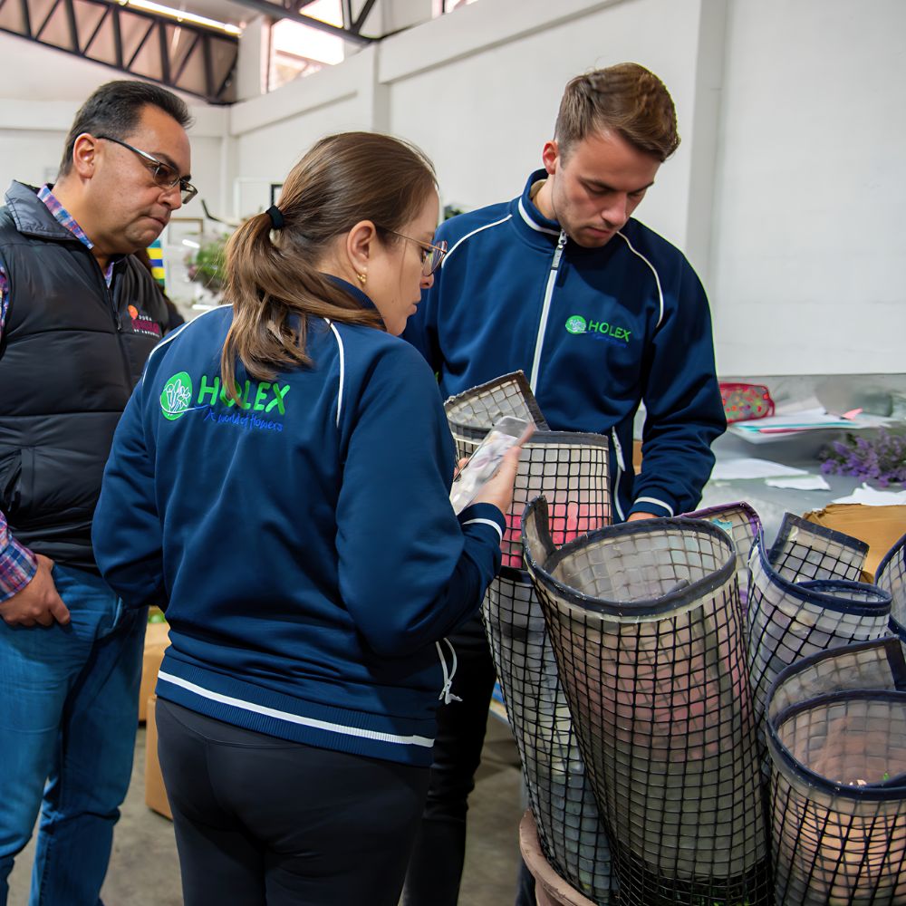 Why Smart Inventory Management Is the Simple Secret for Sustainable Floriculture