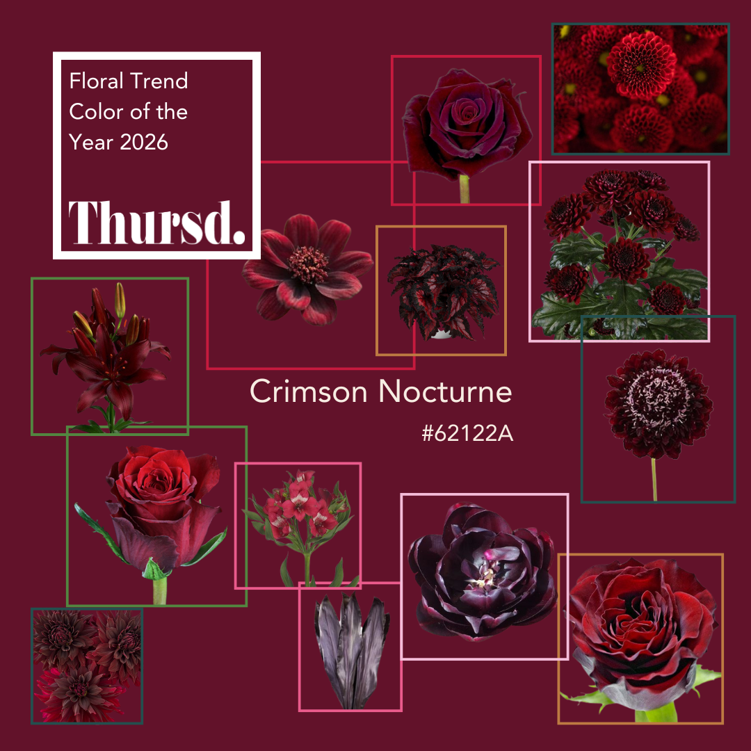 Thursd Floral Trend Color and Palette 2026 Crimson Nocturne