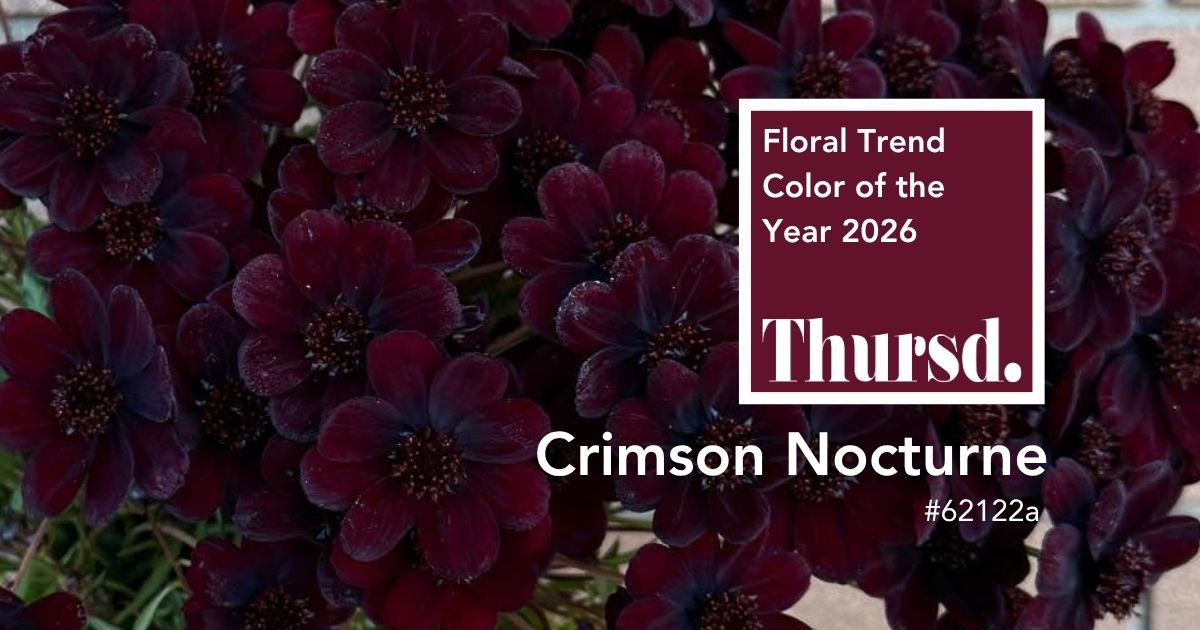 Cosmos Thursd Floral Trend Color of the Year 2026 Crimson Nocturne 