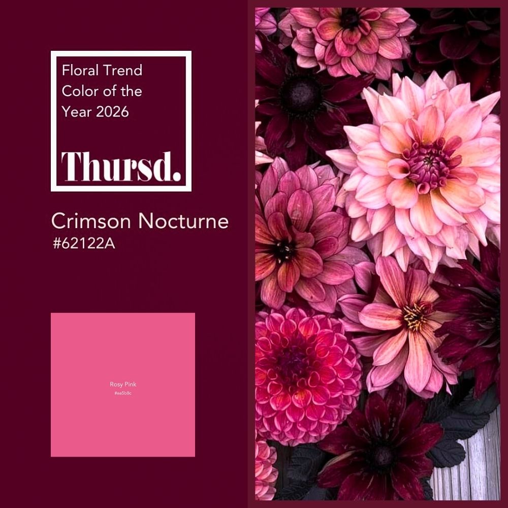 Color Pairings Crimson Movement Palette 2026 With Rosy Pink